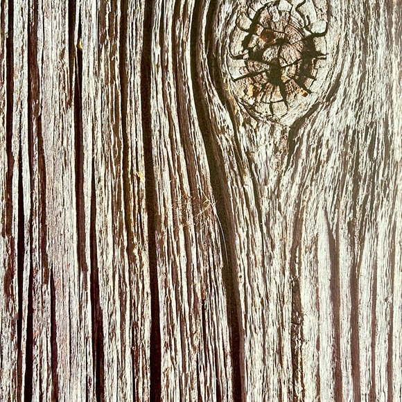 Scrapbook Paper! Wood Backgrounds & Textures! 12x12” - Picture 4 of 17